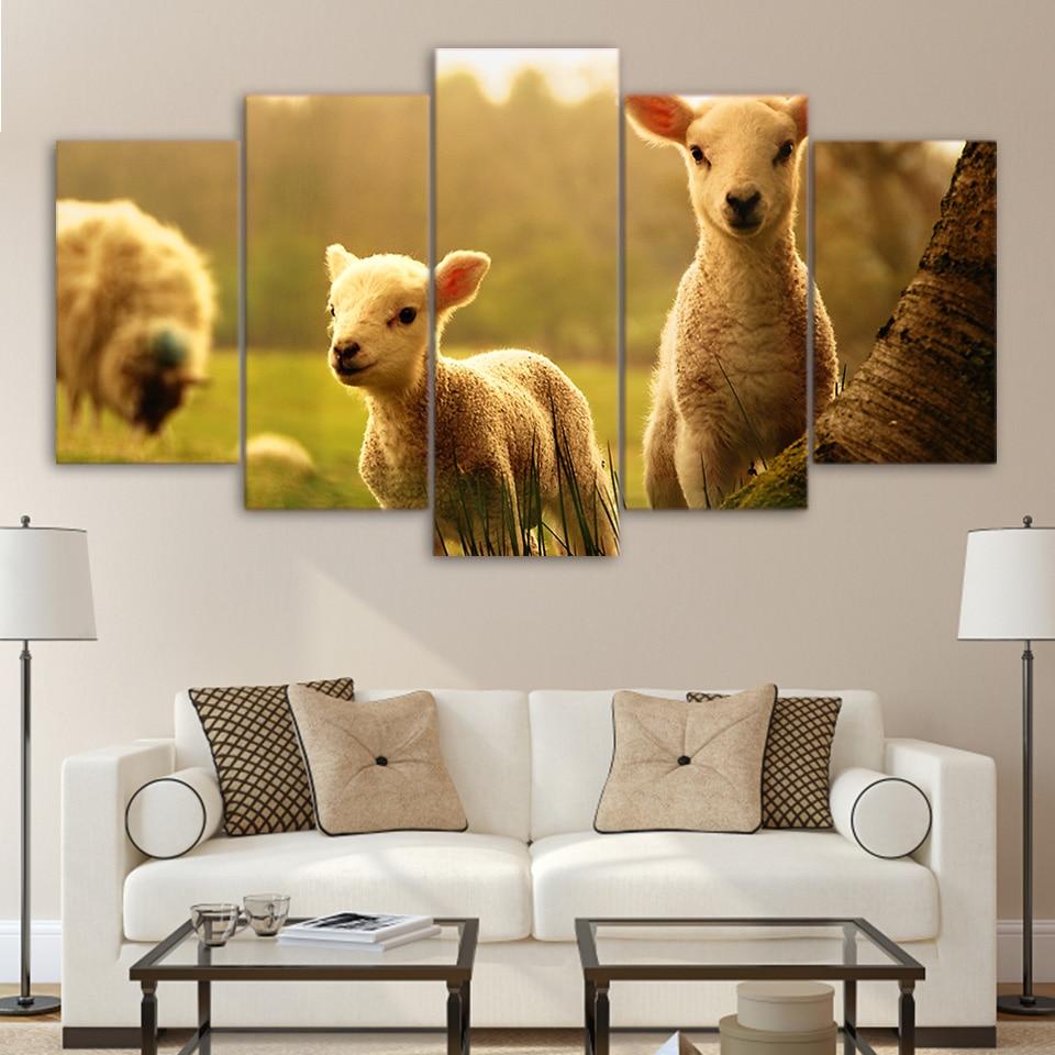 Cute Little White Sheep – Animal Canvas Wall Art