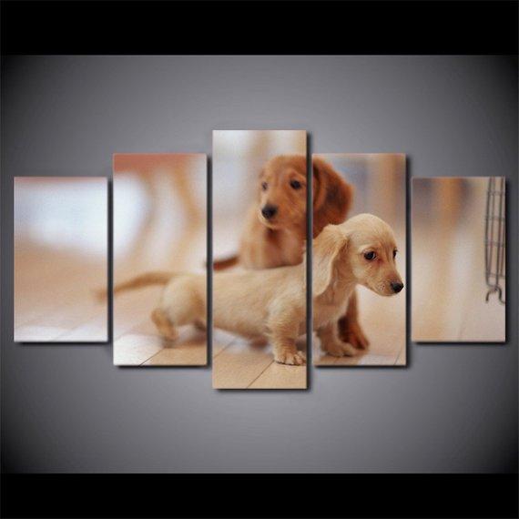 Dachshund Dog Puppy Dog – Animal Canvas Wall Art
