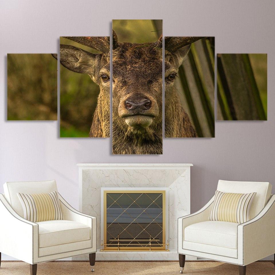 Deer Facial Features – Animal Canvas Wall Art