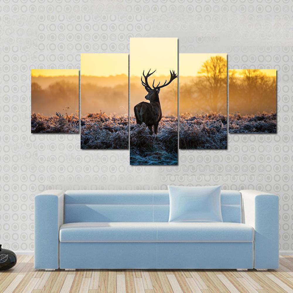 Deer In Morning Sun – Animal Canvas Wall Art