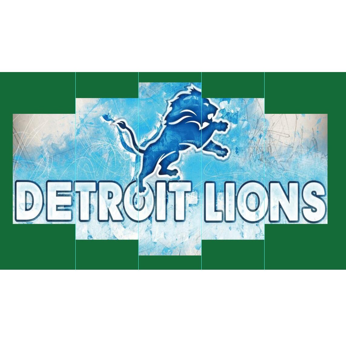 Detroit Lions Sport Canvas Wall Art