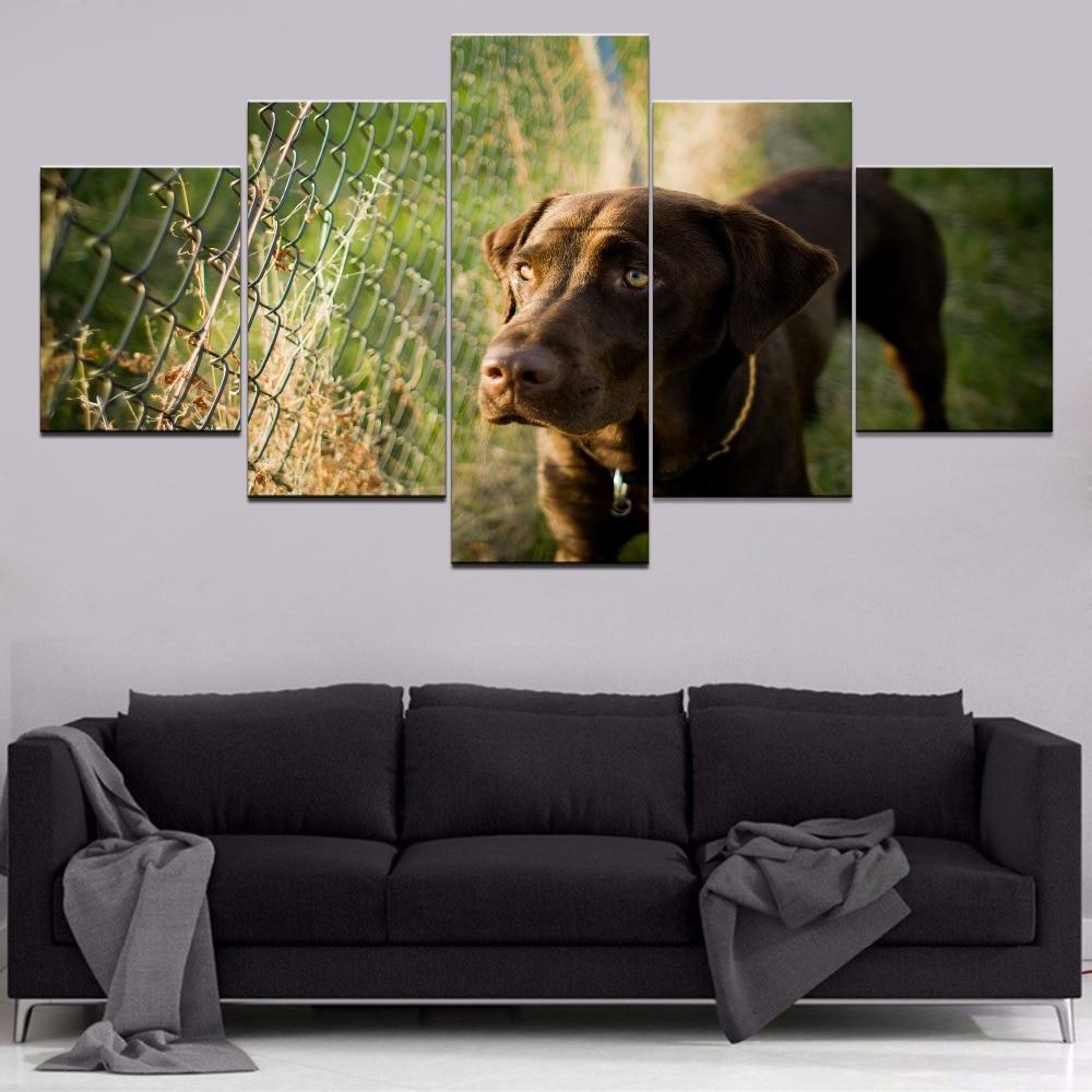 Dog Lovely 2 – Animal Canvas Wall Art