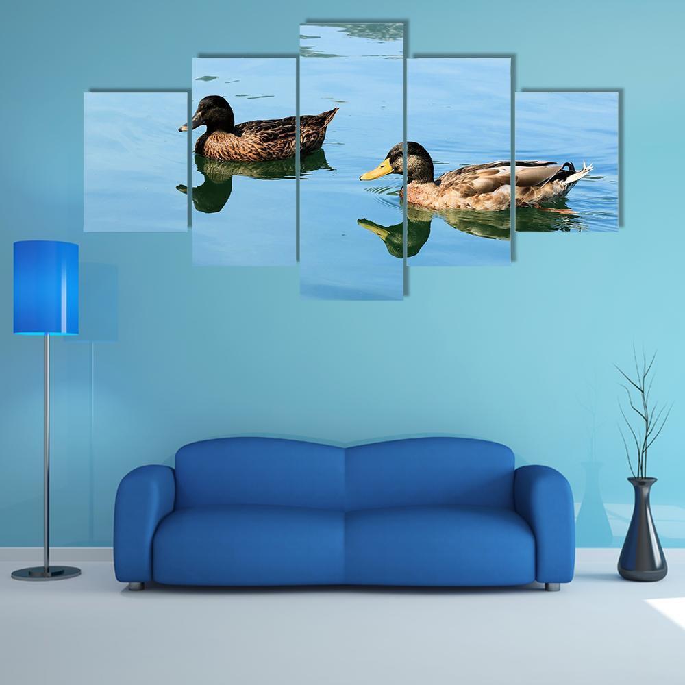 Duck Swimming In Clear Blue Water – Animal Canvas Wall Art