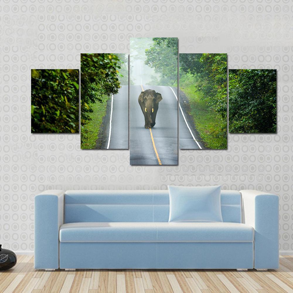 Elephant On The Road – Animal Canvas Wall Art
