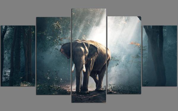 Elephant Wildlife – Animal Canvas Wall Art