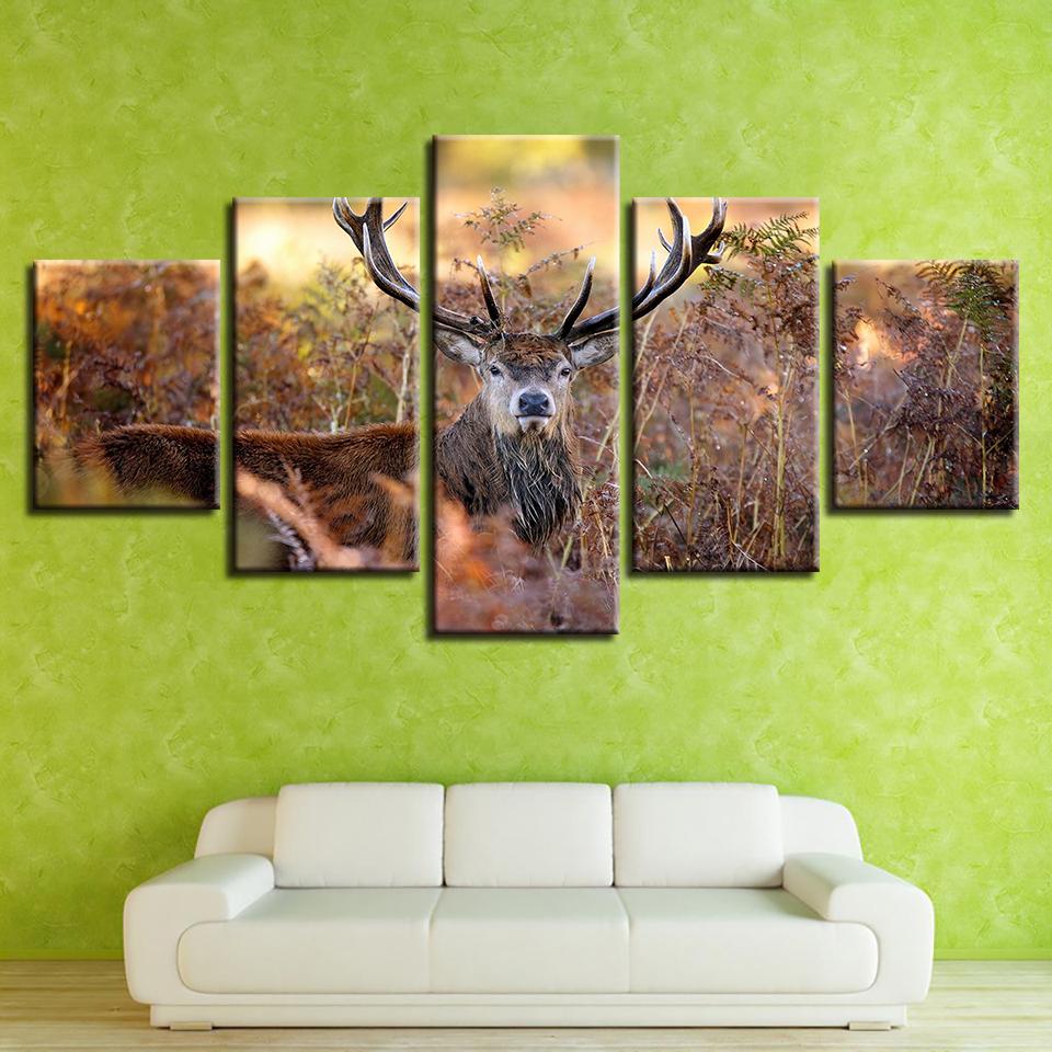 Elk Animal Sunset Scenery – Animal Canvas Wall Art