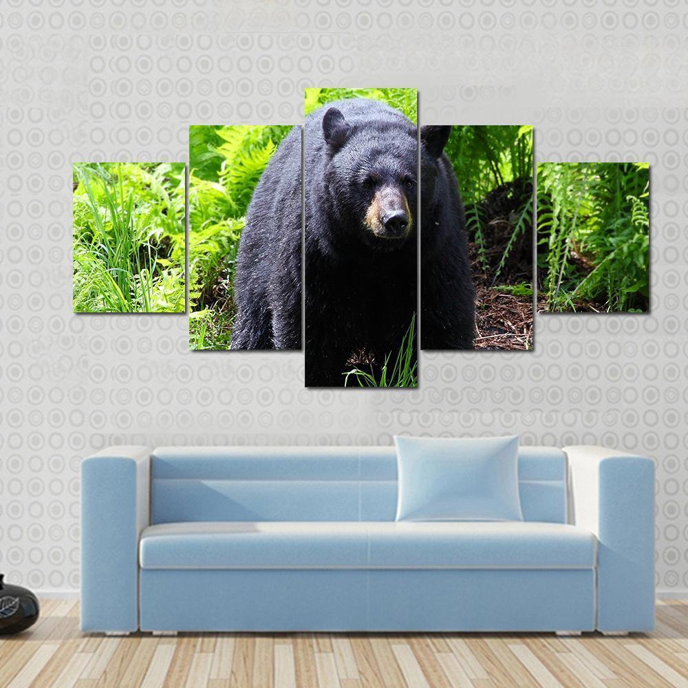 Female Black Bear – Animal Canvas Wall Art