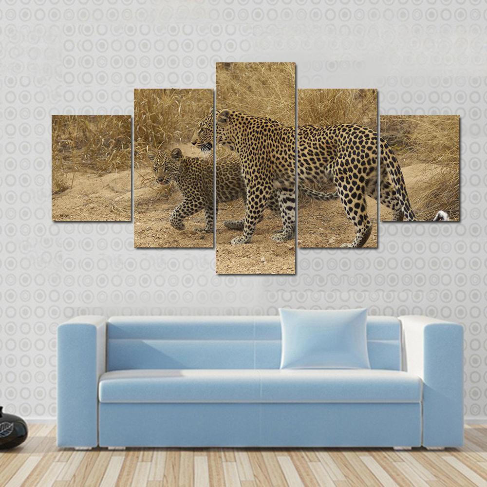 Female Leopard And Cub Walking – Animal Canvas Wall Art