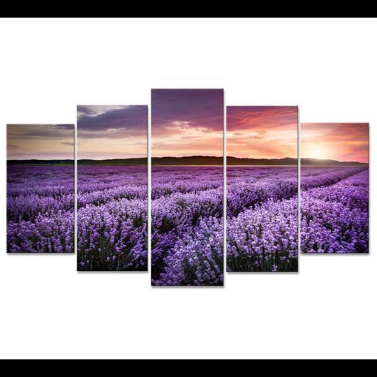 Field Of Lavender – Nature Canvas Wall Art