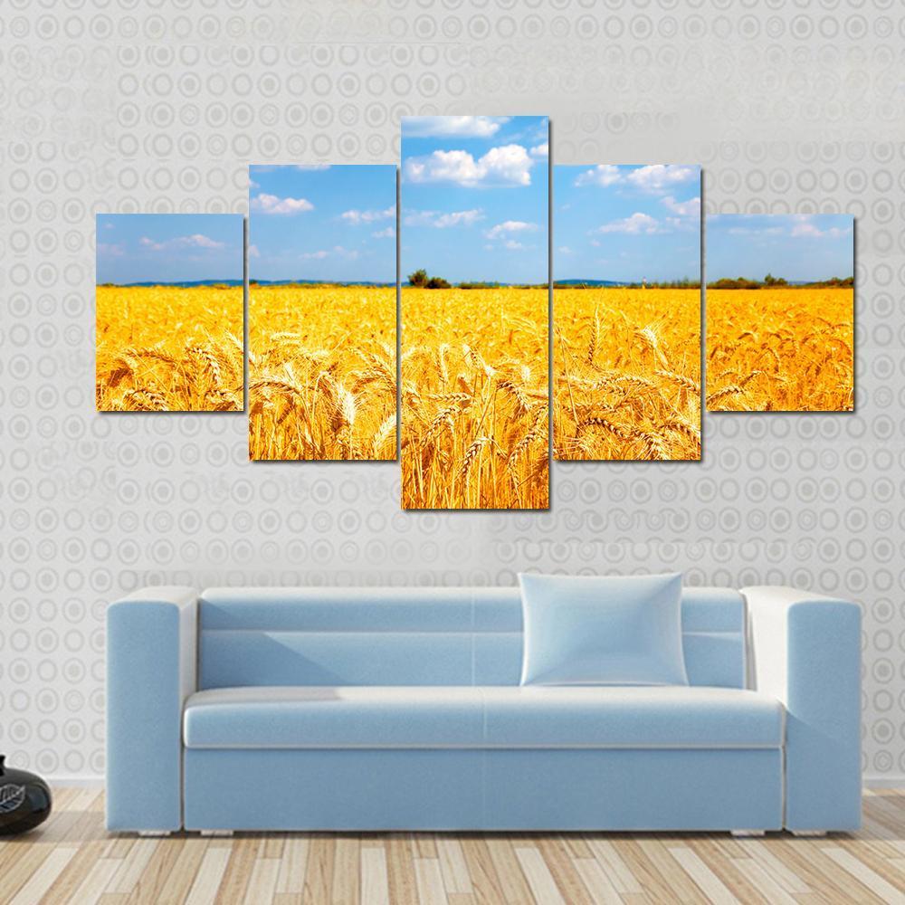 Fields Of Ripe Yellow Wheat Ready For Harvest – Nature Canvas Wall Art