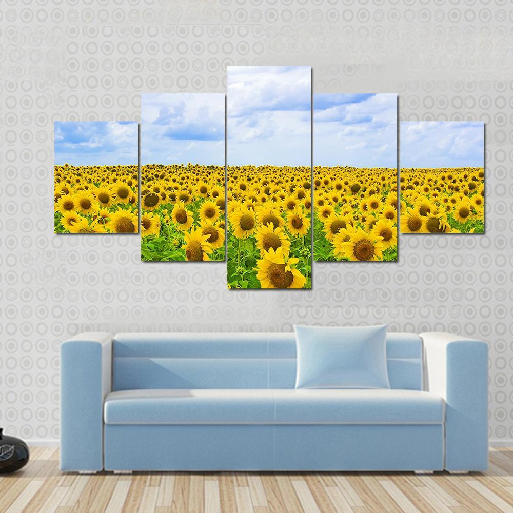 Fine Summer Field Of Sunflowers In The Blue Sky – Nature Canvas Wall Art