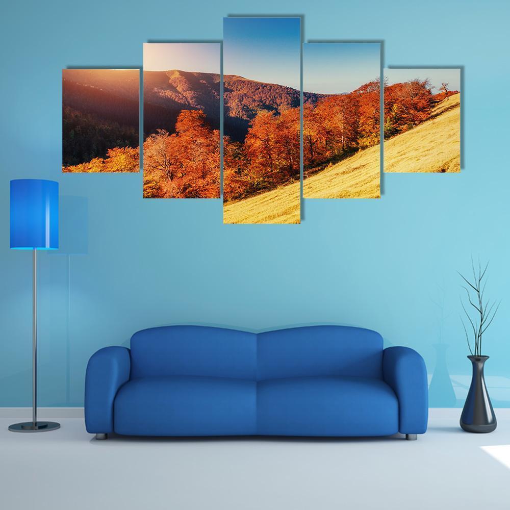 Forest Road In The Autumn – Nature Canvas Wall Art