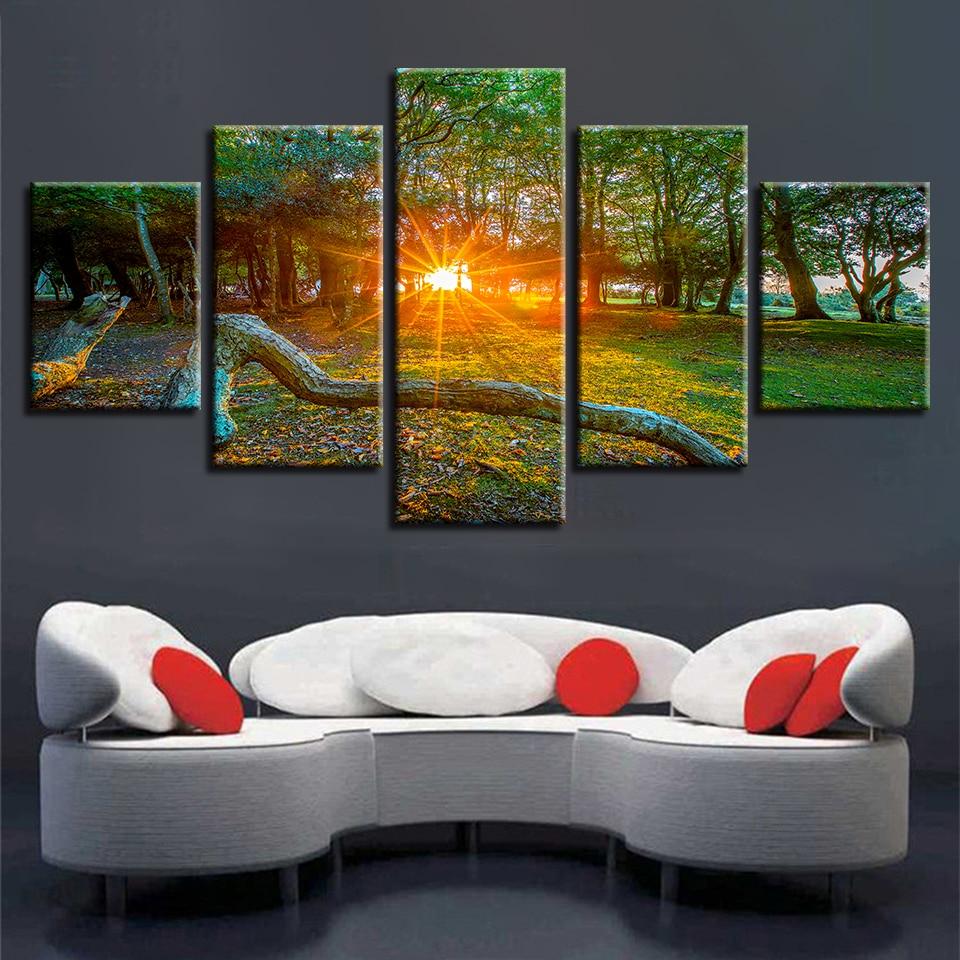Forest Sunshine 3 – Nature Canvas Wall Art