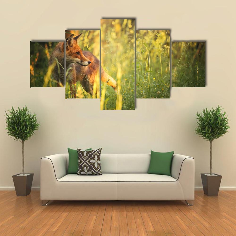 Fox On The Summer Forest 1 – Animal Canvas Wall Art