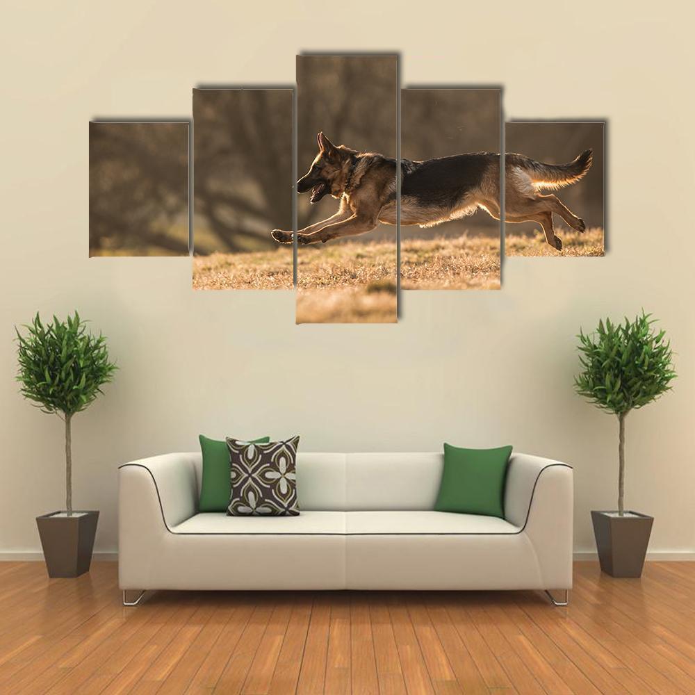 German Shepherd Dog Animal – Canvas Wall Art