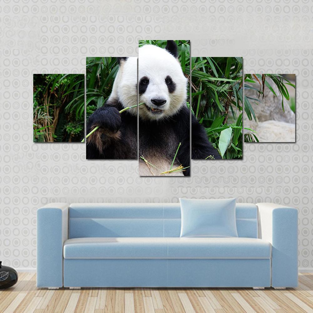 Giant Panda Bear Eating Bamboo – Animal Canvas Wall Art