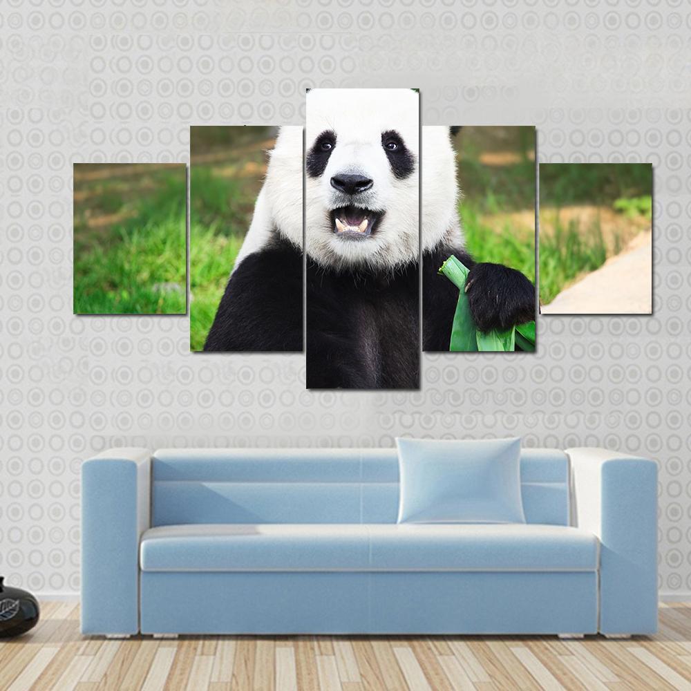 Giant Panda Eating Green Bamboo Leaf – Animal Canvas Wall Art