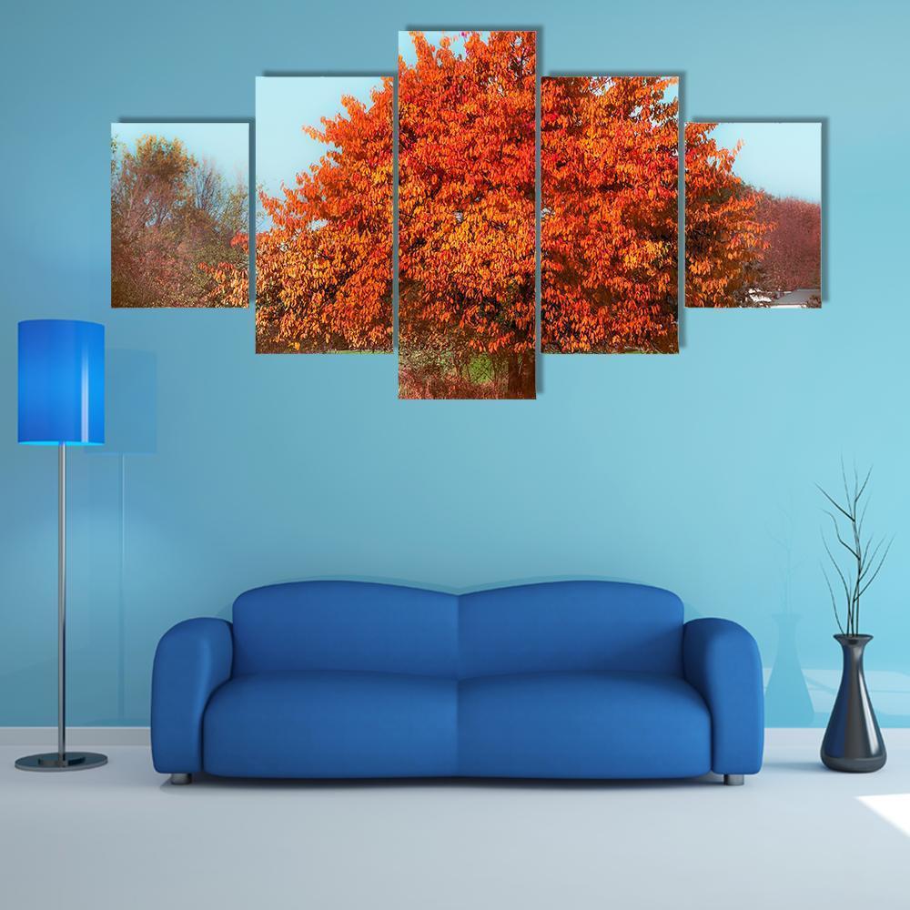 Gorgeous Tree With Red Autumn Foliage At Sky – Nature Canvas Wall Art
