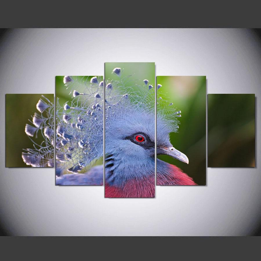 Goura Cristata – Animal Canvas Wall Art