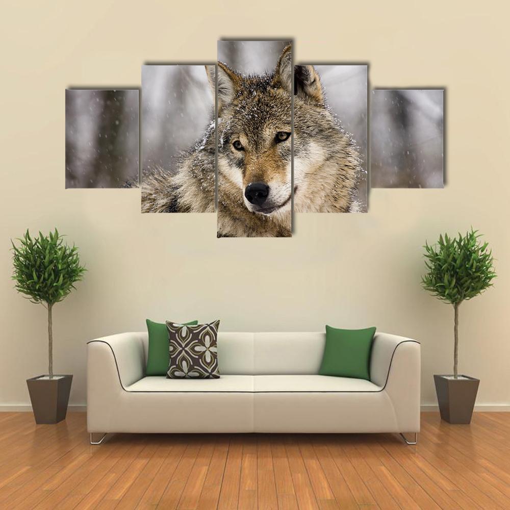 Gray Wolf In Winter – Animal Canvas Wall Art