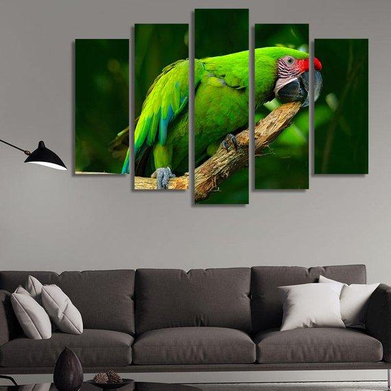 Green Parrot – Animal Canvas Wall Art