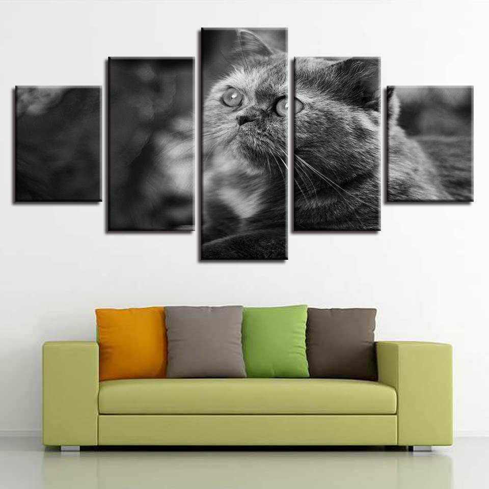 Grey Big Eyes Cat – Animal Canvas Wall Art