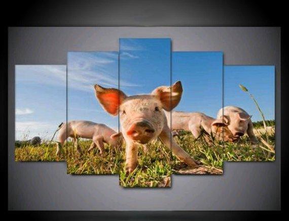 Happy Pig – Animal Canvas Wall Art