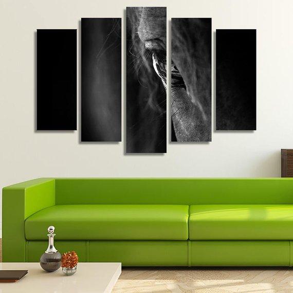 Horse Eye Close Up – Animal Canvas Wall Art