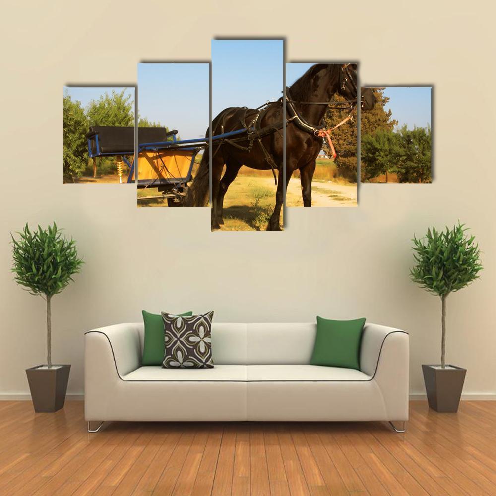 Horse Outdoor Summer Day – Animal Canvas Wall Art