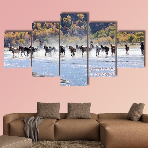 Horse Riding In Splashed Water – Animal Canvas Wall Art