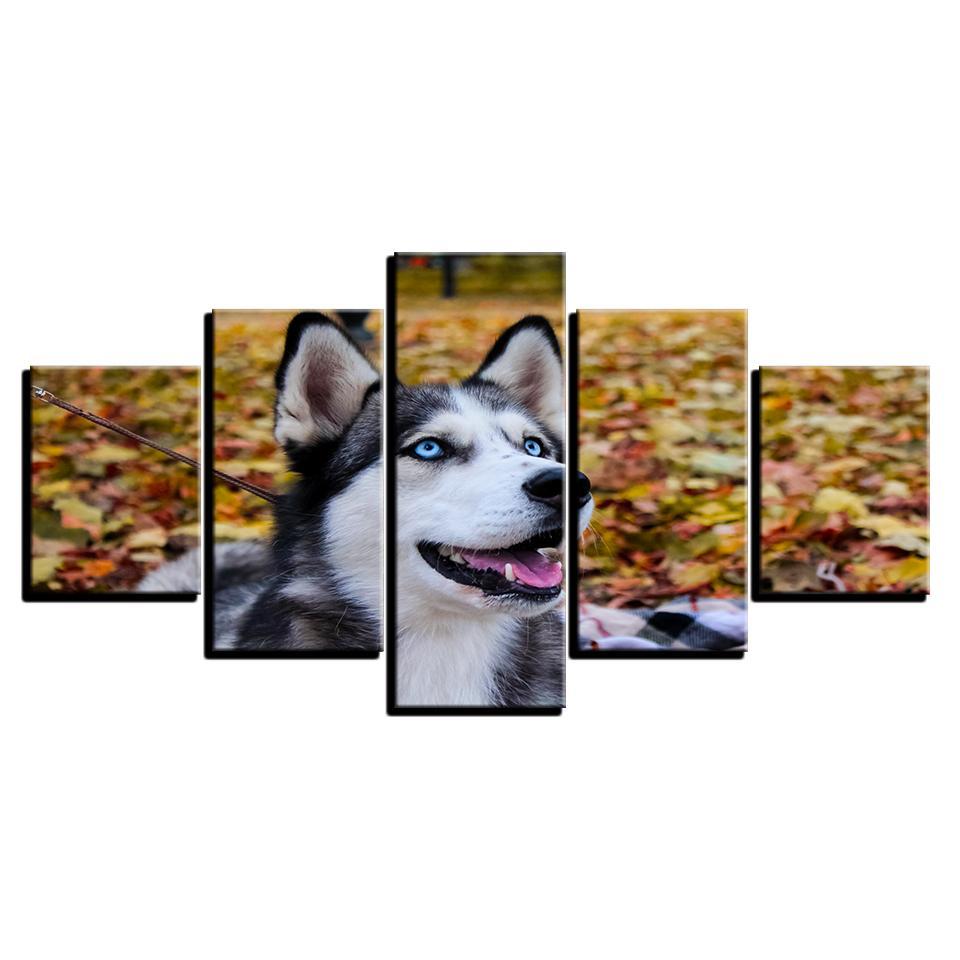 Husky Pet Blue Eyes Dog – Animal Canvas Wall Art