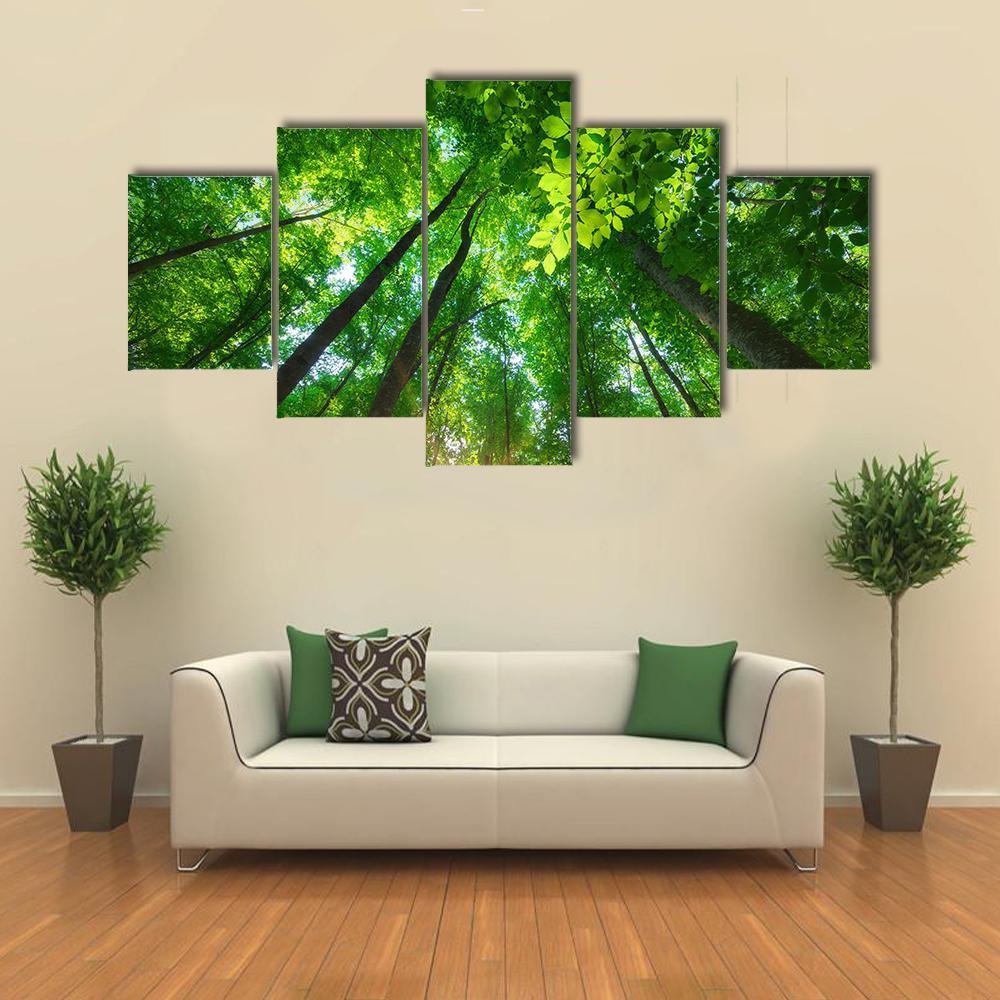Into The Forest Nature Composition – Nature Canvas Wall Art
