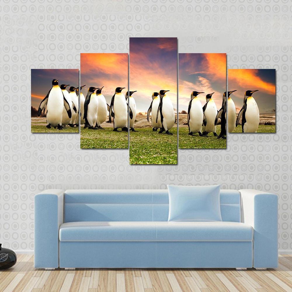 King Penguins In The Falkland Islands – Animal Canvas Wall Art