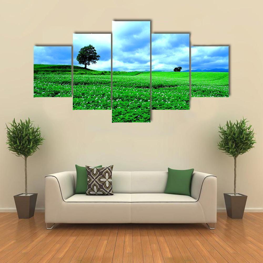 Landscape Of Hill Of Biei In Hokkaido – Nature Canvas Wall Art