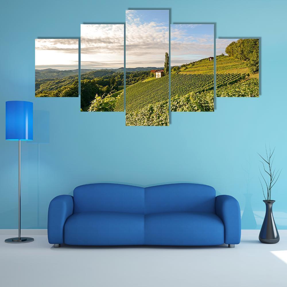 Landscape With Wine Grapes In The Vineyard 1 – Nature Canvas Wall Art