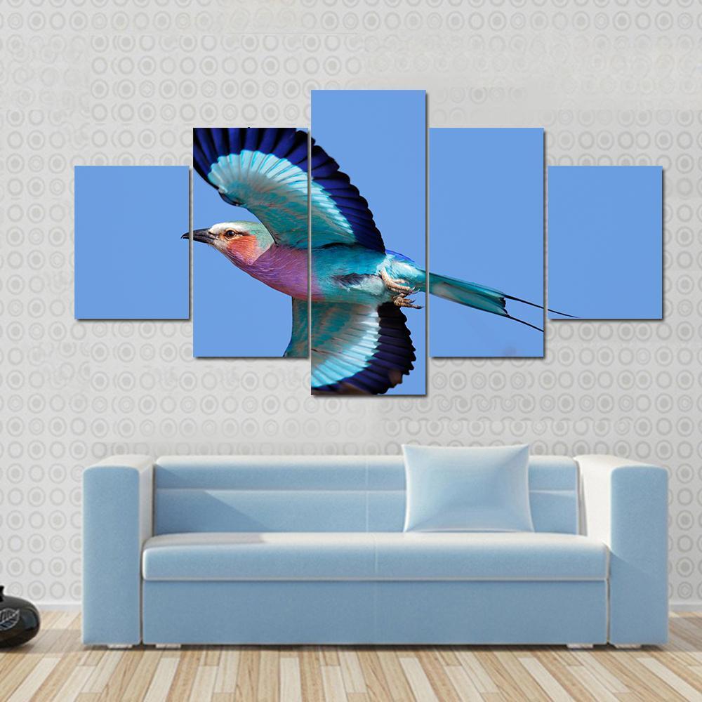 Lilac-Breasted Roller Taking Flight Against Blue Sky – Animal Canvas Wall Art