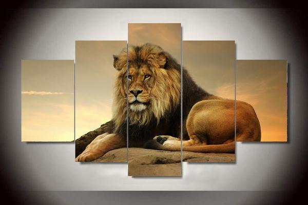 Lion At Sunset Sunrise – Animal Canvas Wall Art