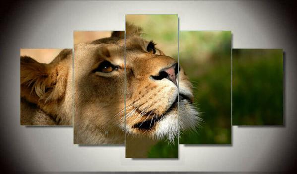 Lioness Closeup – Animal Canvas Wall Art
