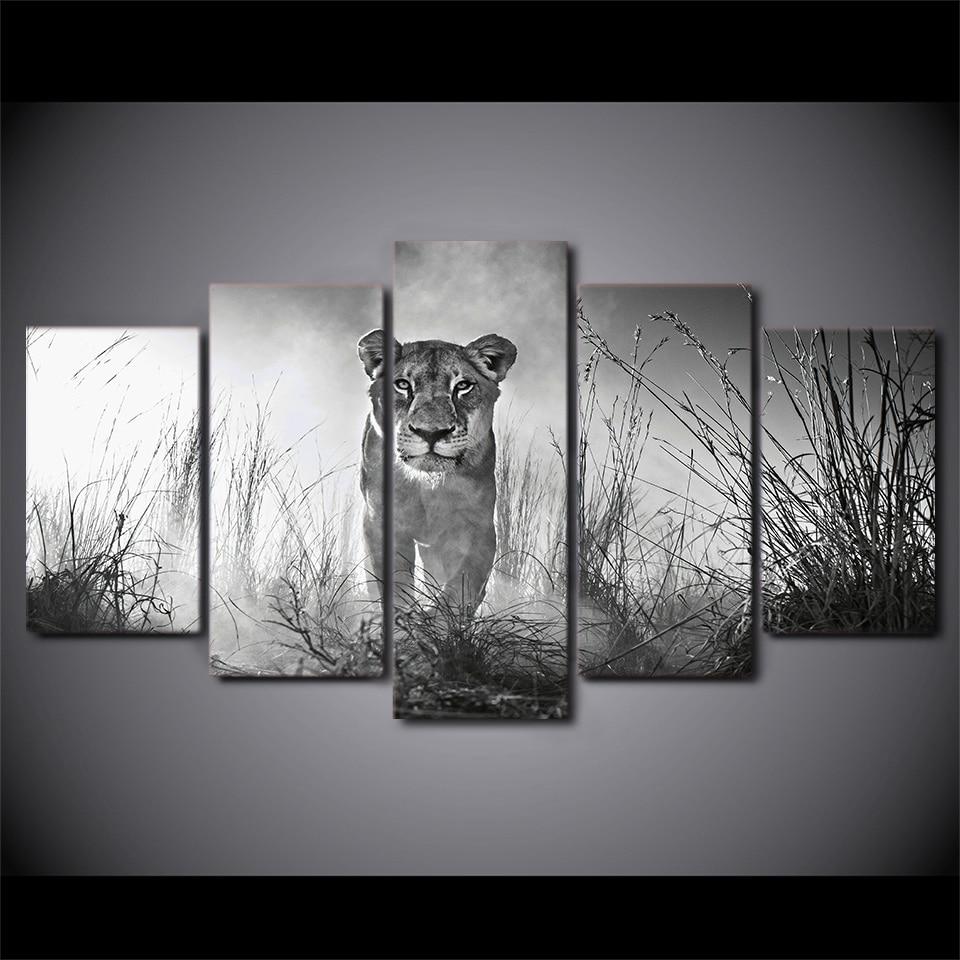 Lioness Female – Animal Canvas Wall Art