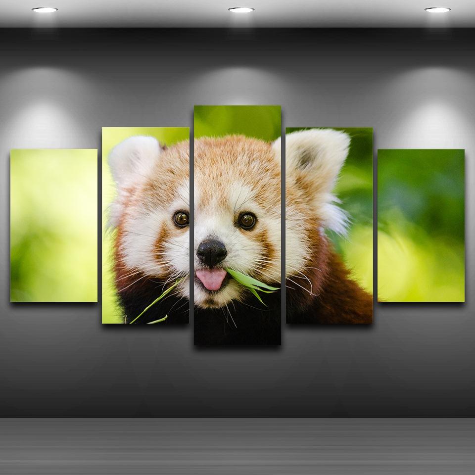 Lovely Red Panda – Animal Canvas Wall Art