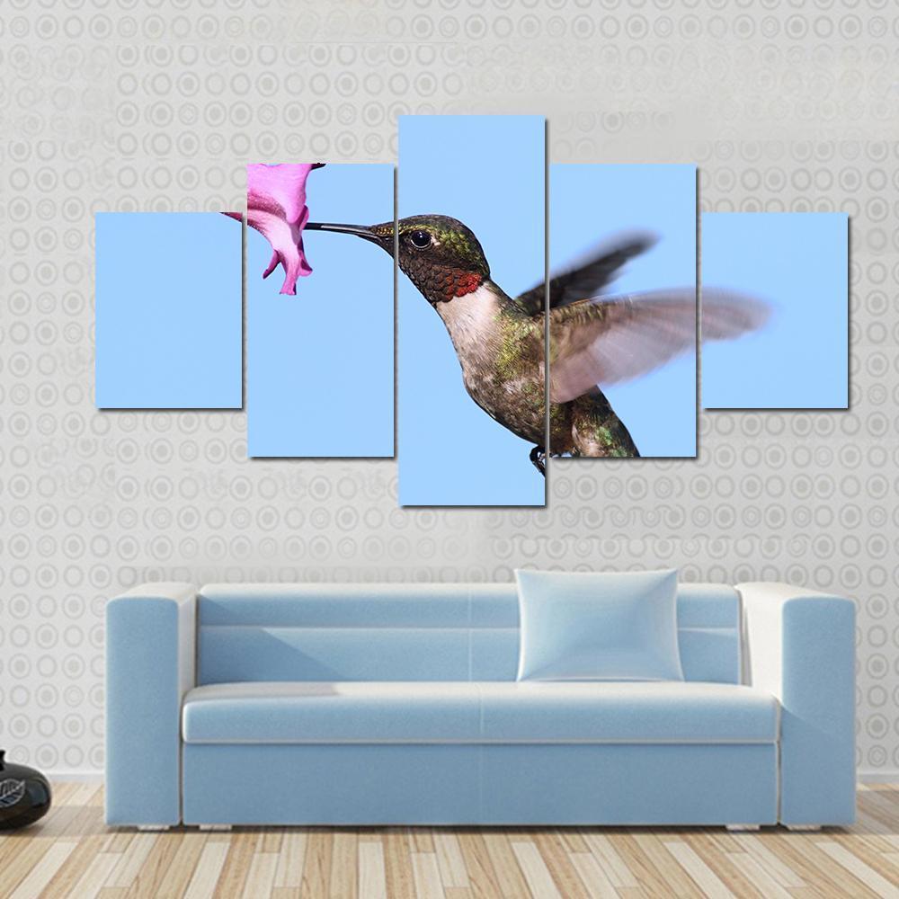 Male Ruby-Throated Hummingbird In Flight With A Purple Flower – Animal Canvas Wall Art