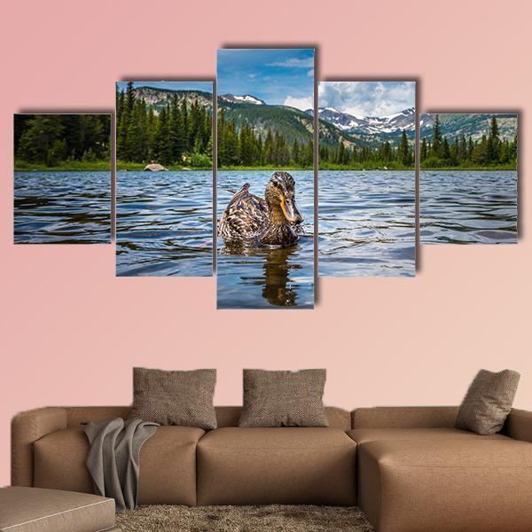 Mallard Duck Female In Lost Lake – Animal Canvas Wall Art
