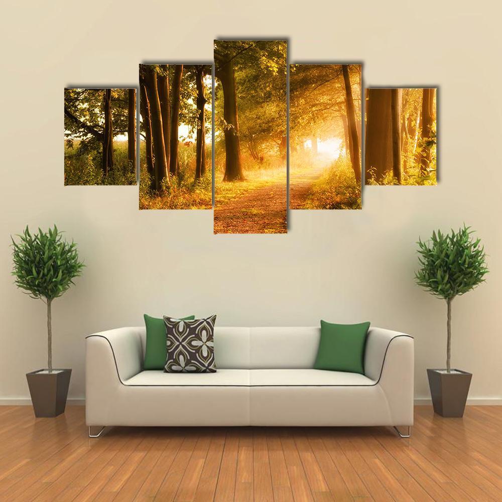 Misty Footpath In The Forest In Autumn – Nature Canvas Wall Art