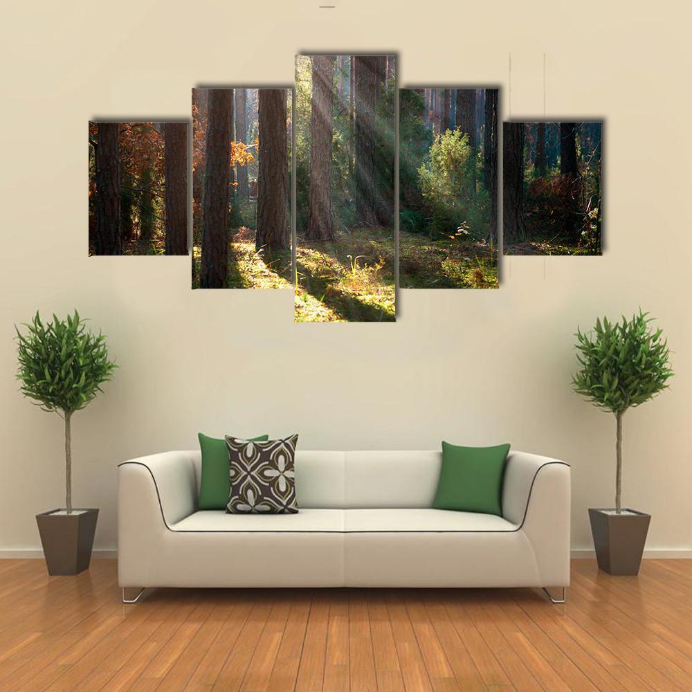 Misty Old Forest Autumn Woods – Nature Canvas Wall Art