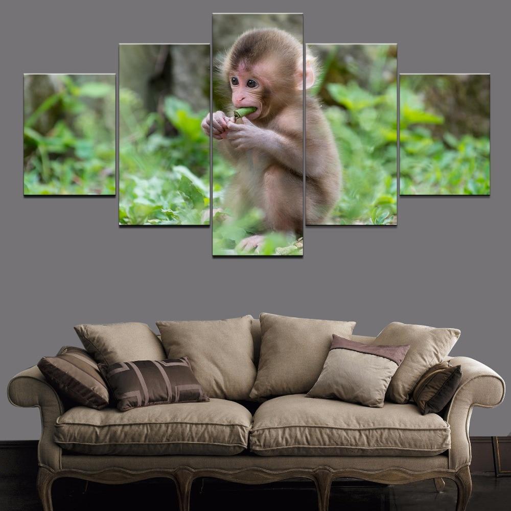 Monkey – Animal Canvas Wall Art