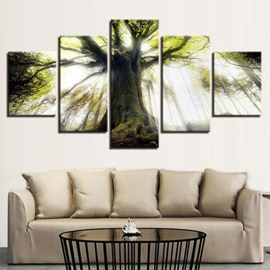 Mossy Tree – Nature Canvas Wall Art