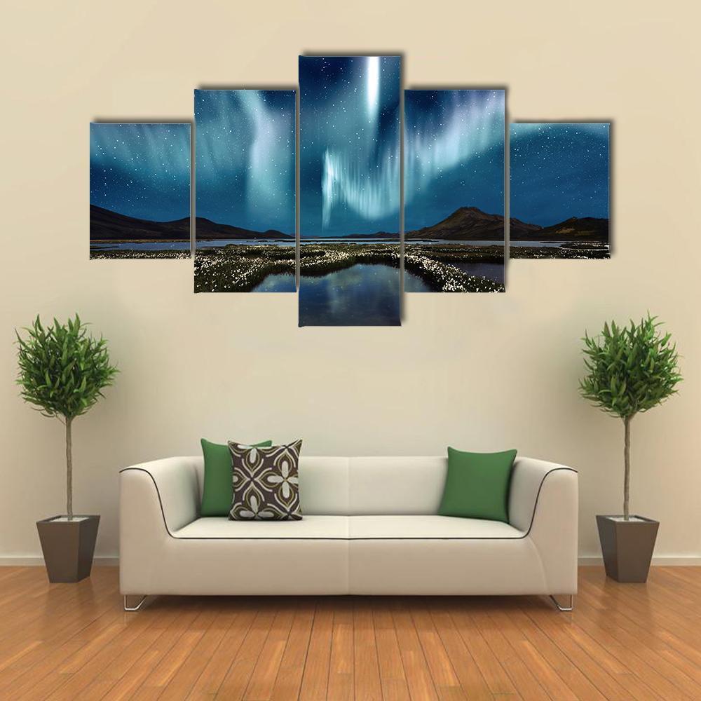 Northern Lights Over The Wildflowers – Nature Canvas Wall Art