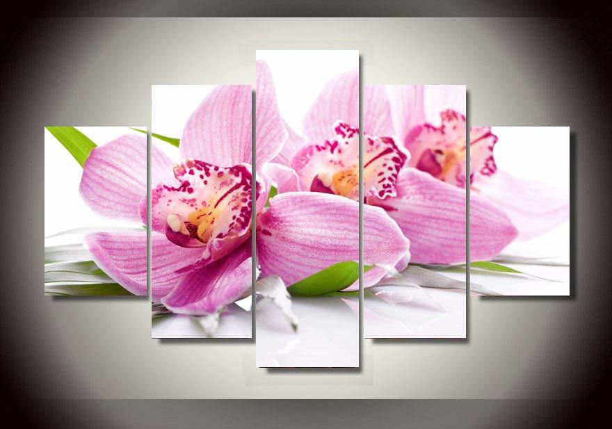 Orchid Flowers – Nature Canvas Wall Art