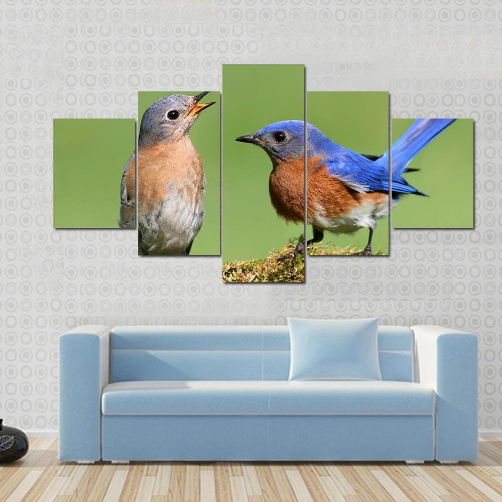 Pair Of Eastern Bluebird On A Log With Moss – Animal Canvas Wall Art