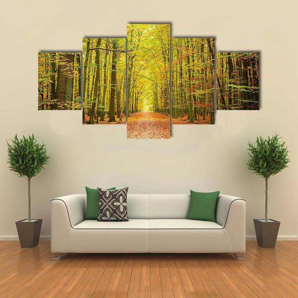 Pathway In The Autumn Forest – Nature Canvas Wall Art